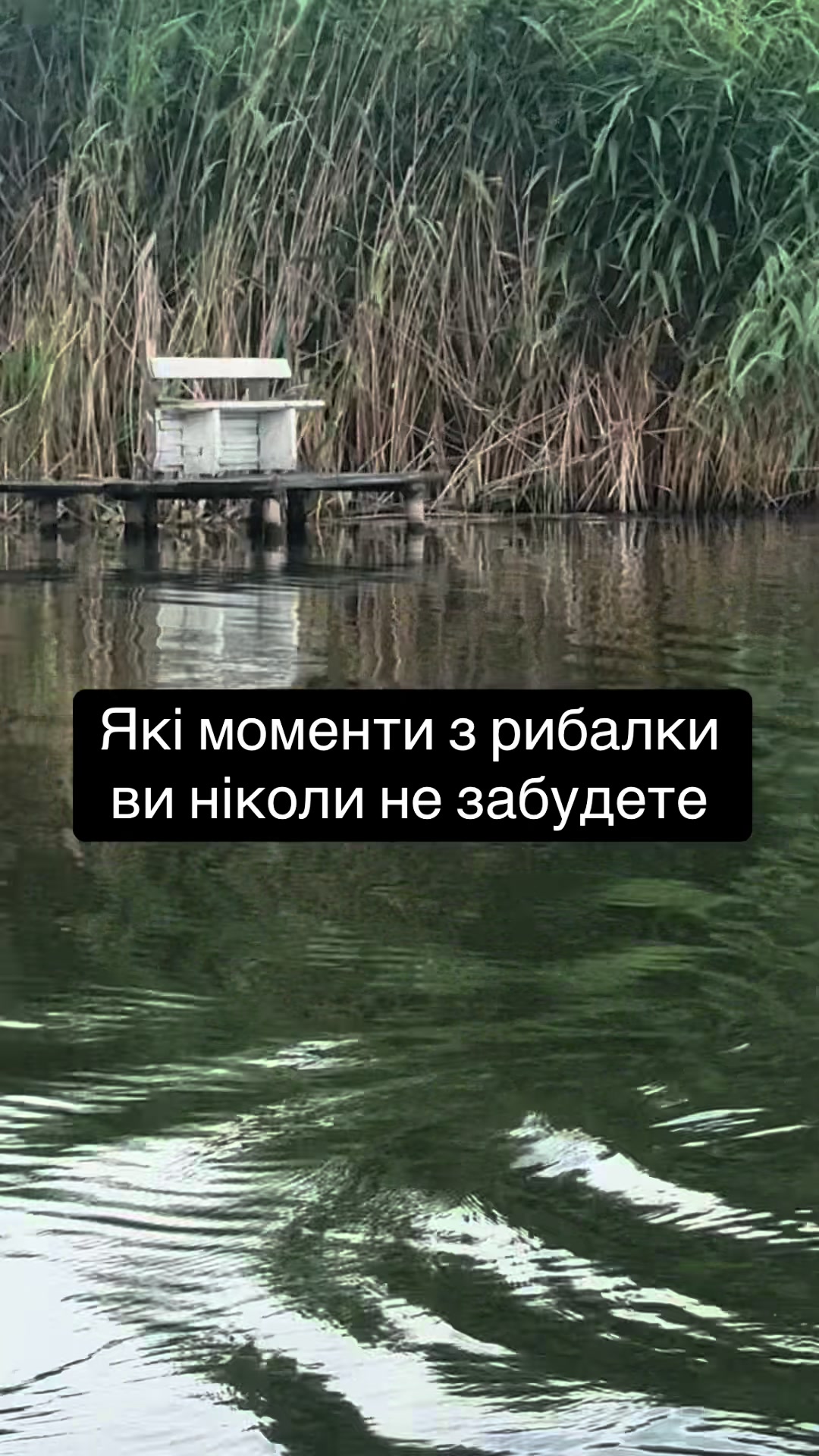 @РИБАЦЬКА МАНІЯ