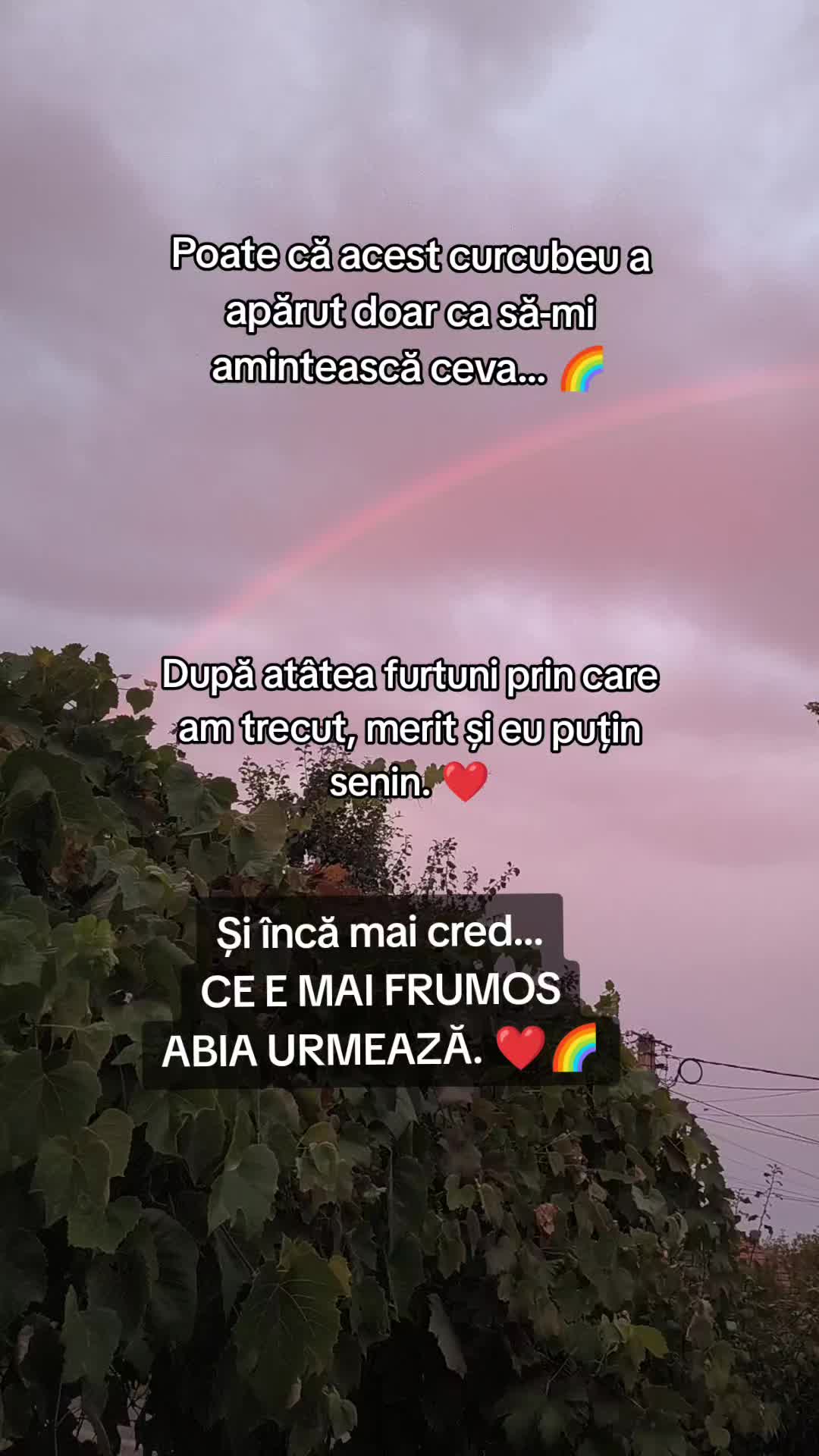 @Roxana Stanciu