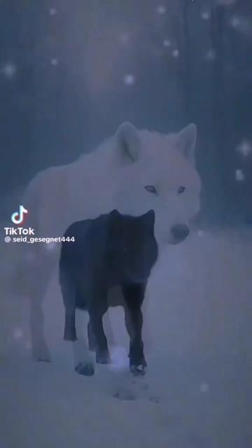 @꧁☬🐺ALEXANDER HIGGINS🐺☬꧂