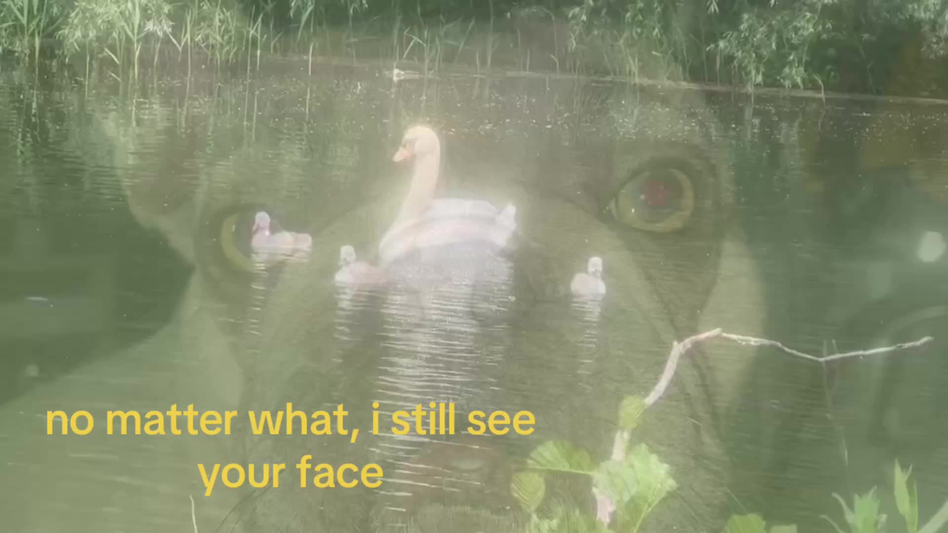 @๐๐ซ๐ค๐ซถ๐ผ