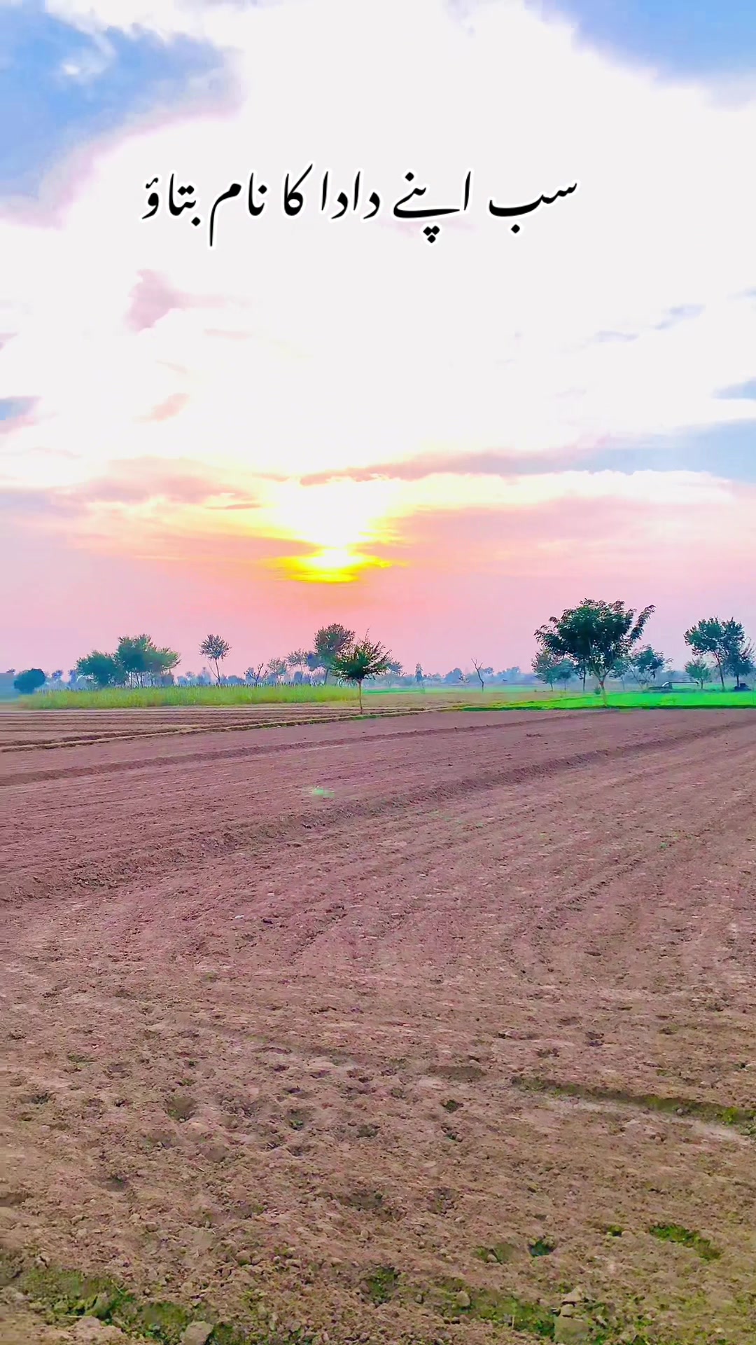 @پنجاب زادہ🌿