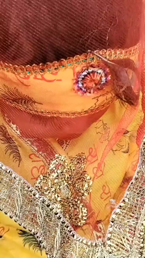 @mahima thakur