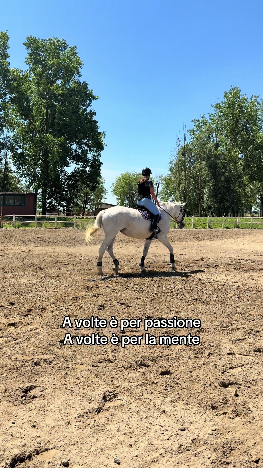 @Marta 🐴