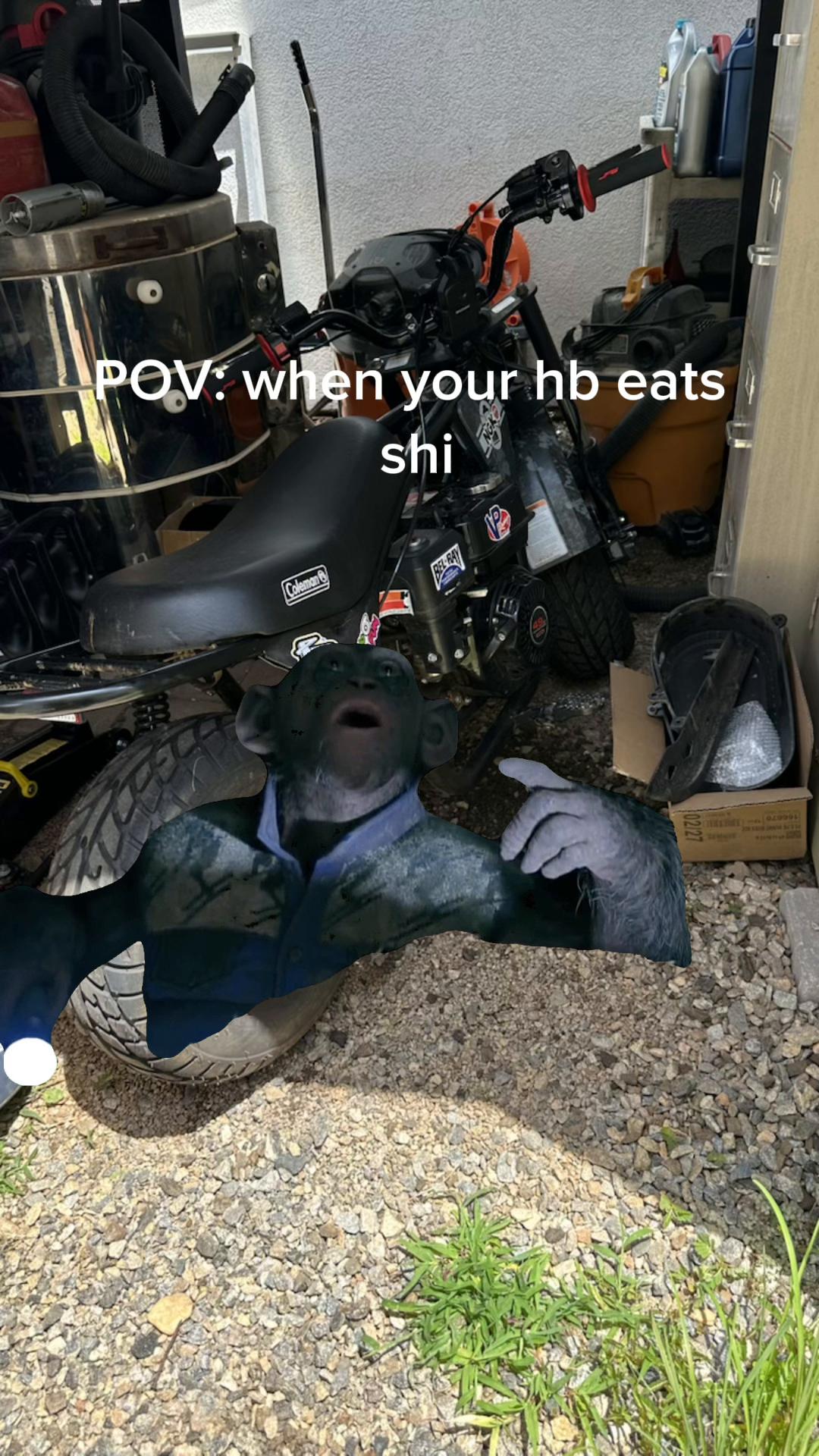 @MiniBikerx3