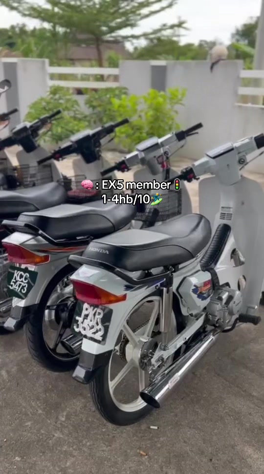 @paihmohd.