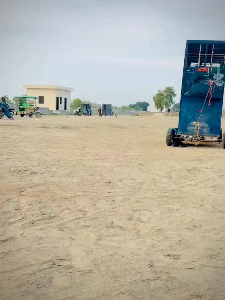 @عدیل رحمن لیہ وال کبوتر باز