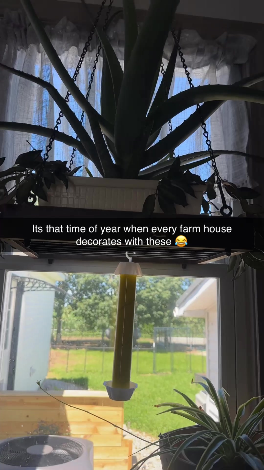 @LilFilly