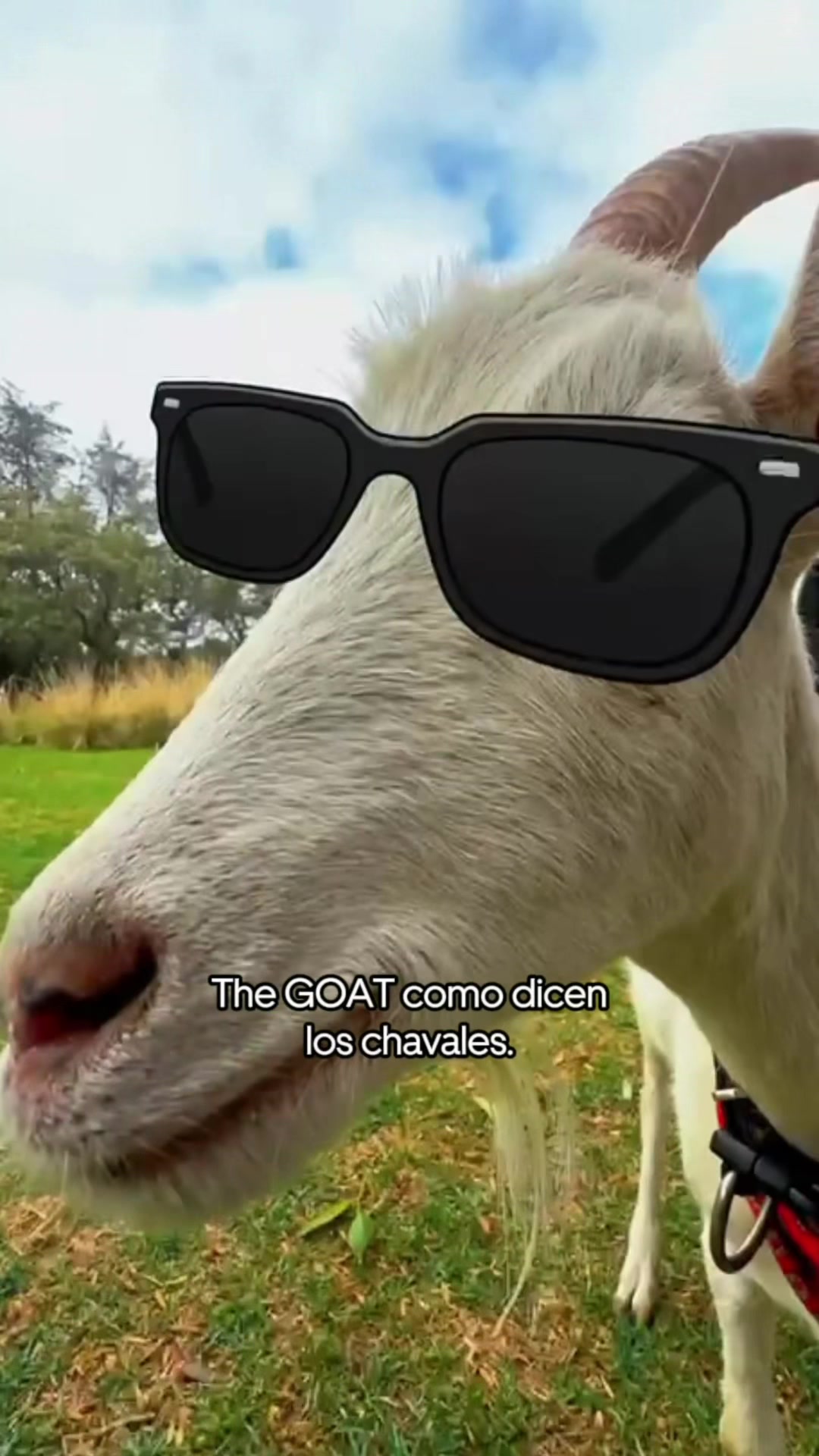 @uber_es