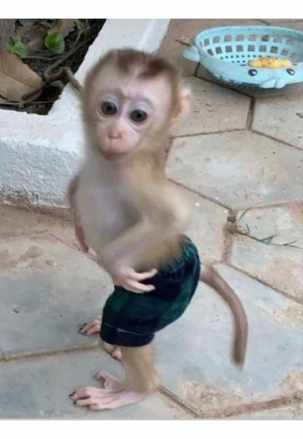 @𝒮.