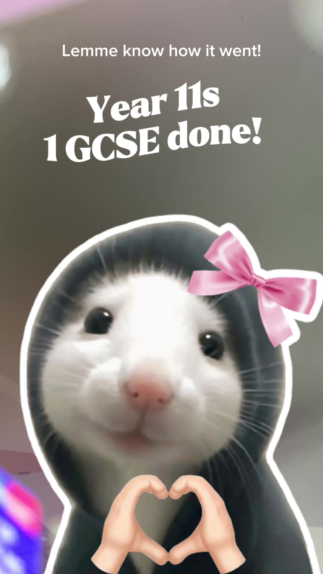 @No Waffle GCSE