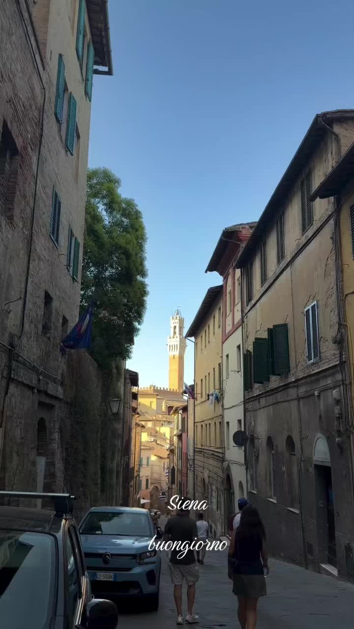 @Antonia Vecchi