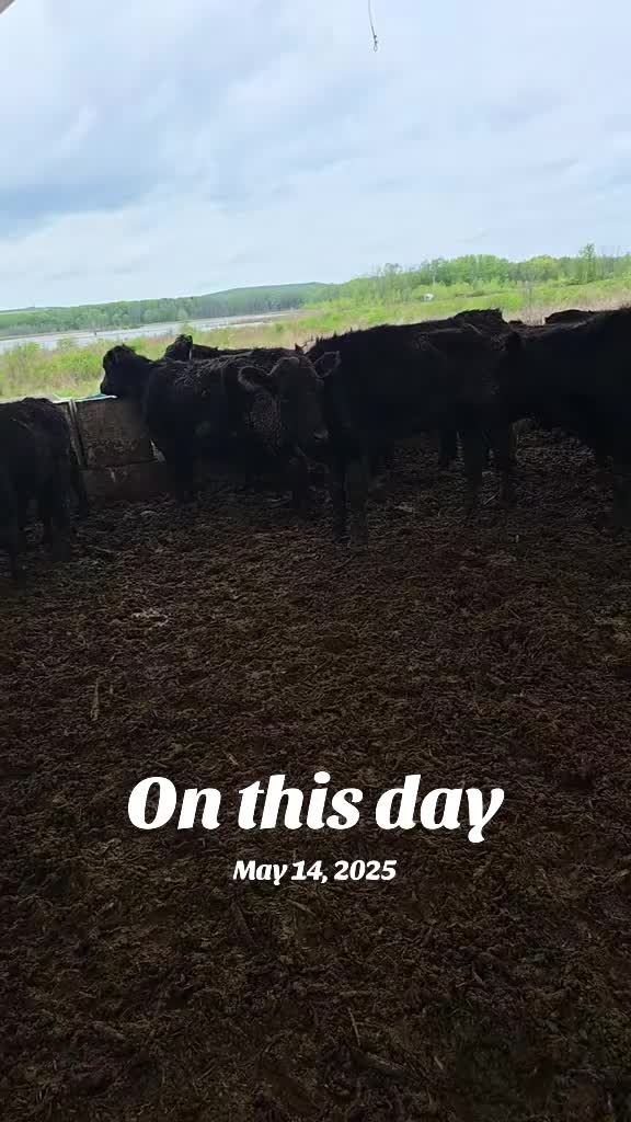 @Lonewolf_trucker