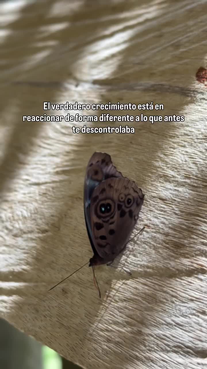 @Hija del Dueño