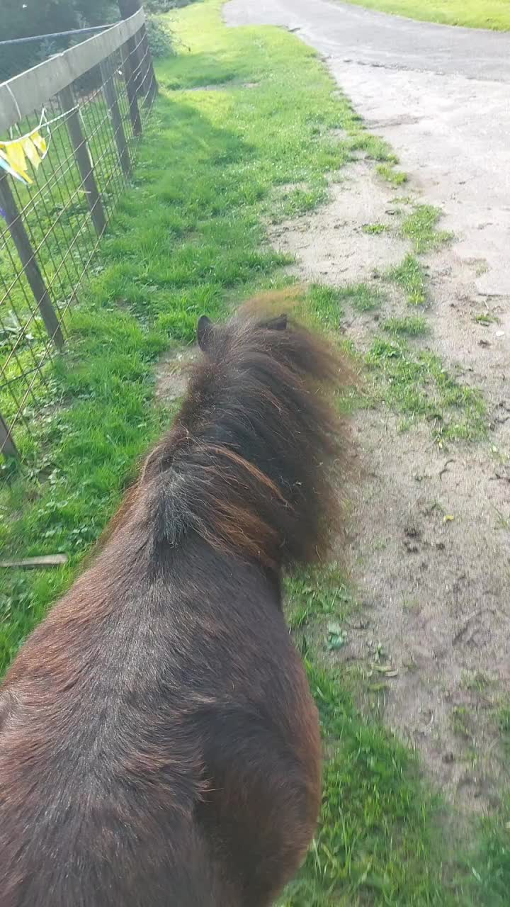 @the fanny's ranch (nsps)