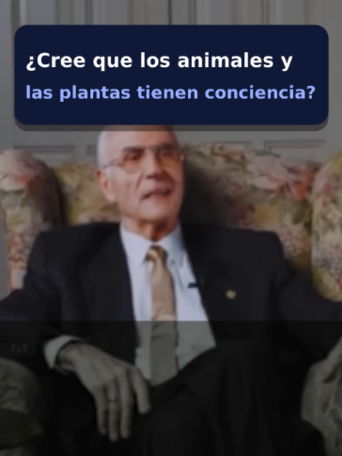 @Dr. Manuel Sans Segarra