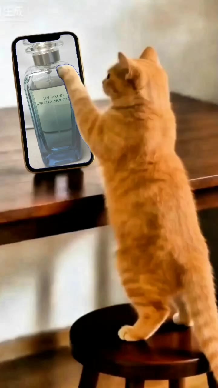 @올싱나야