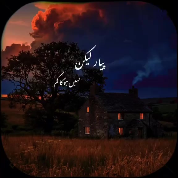 @1shahzaibali