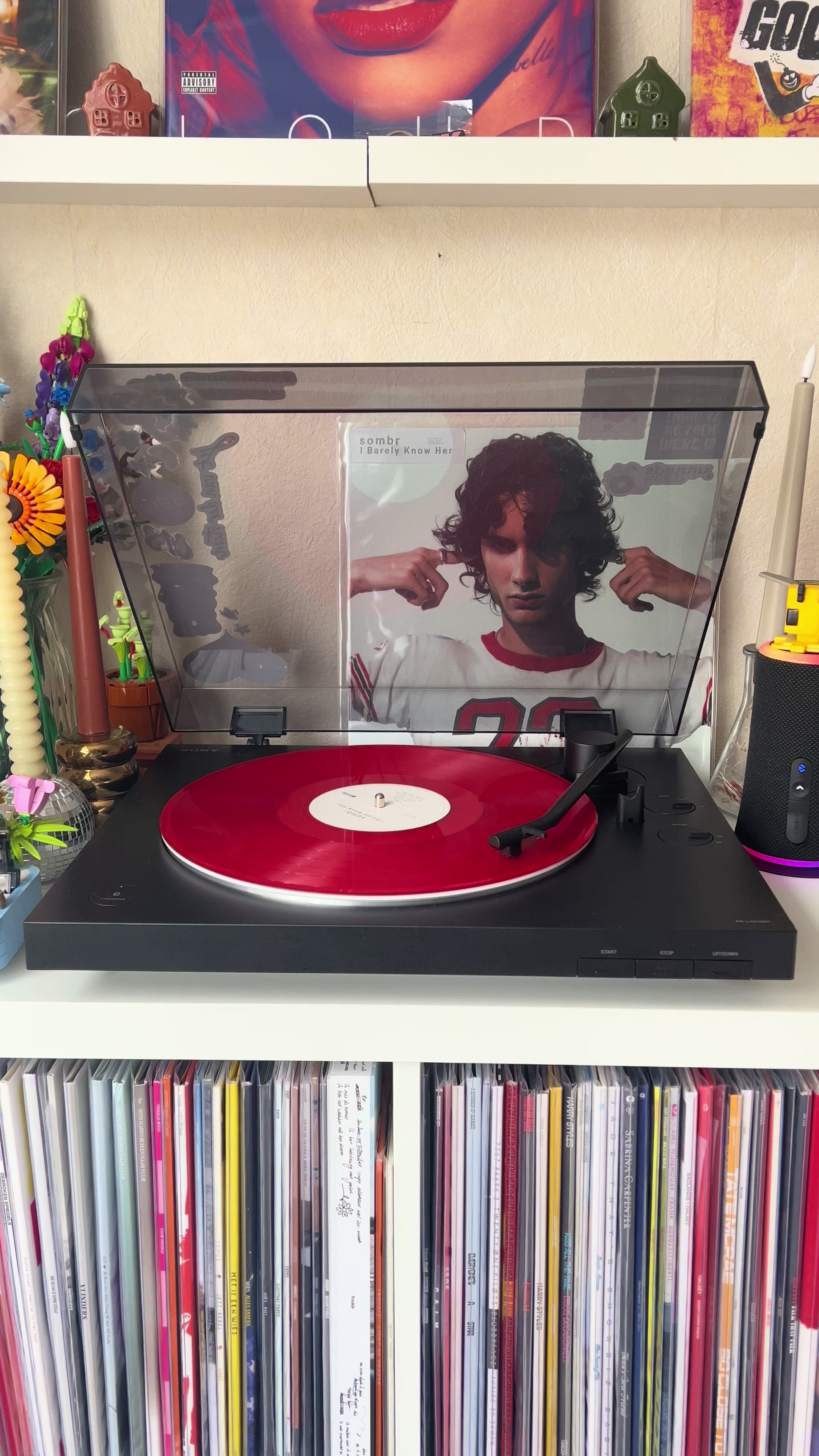 @Rolien || Vinyl & Records