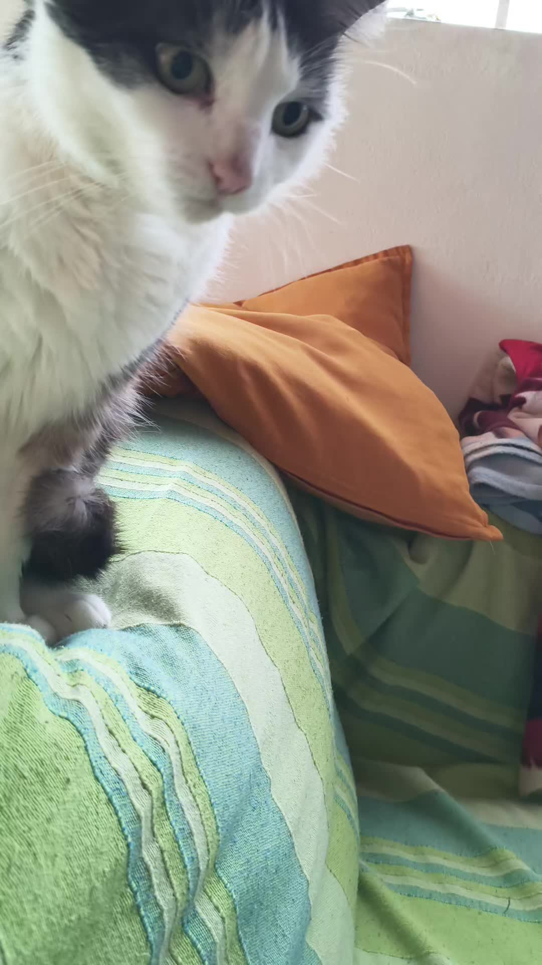 @ᛕᗩ丅ᗴ