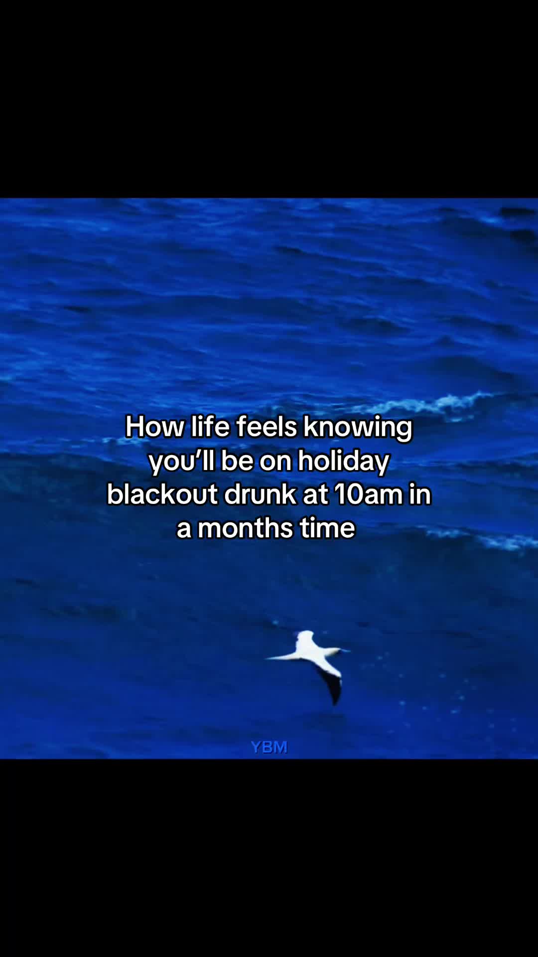 @YBM