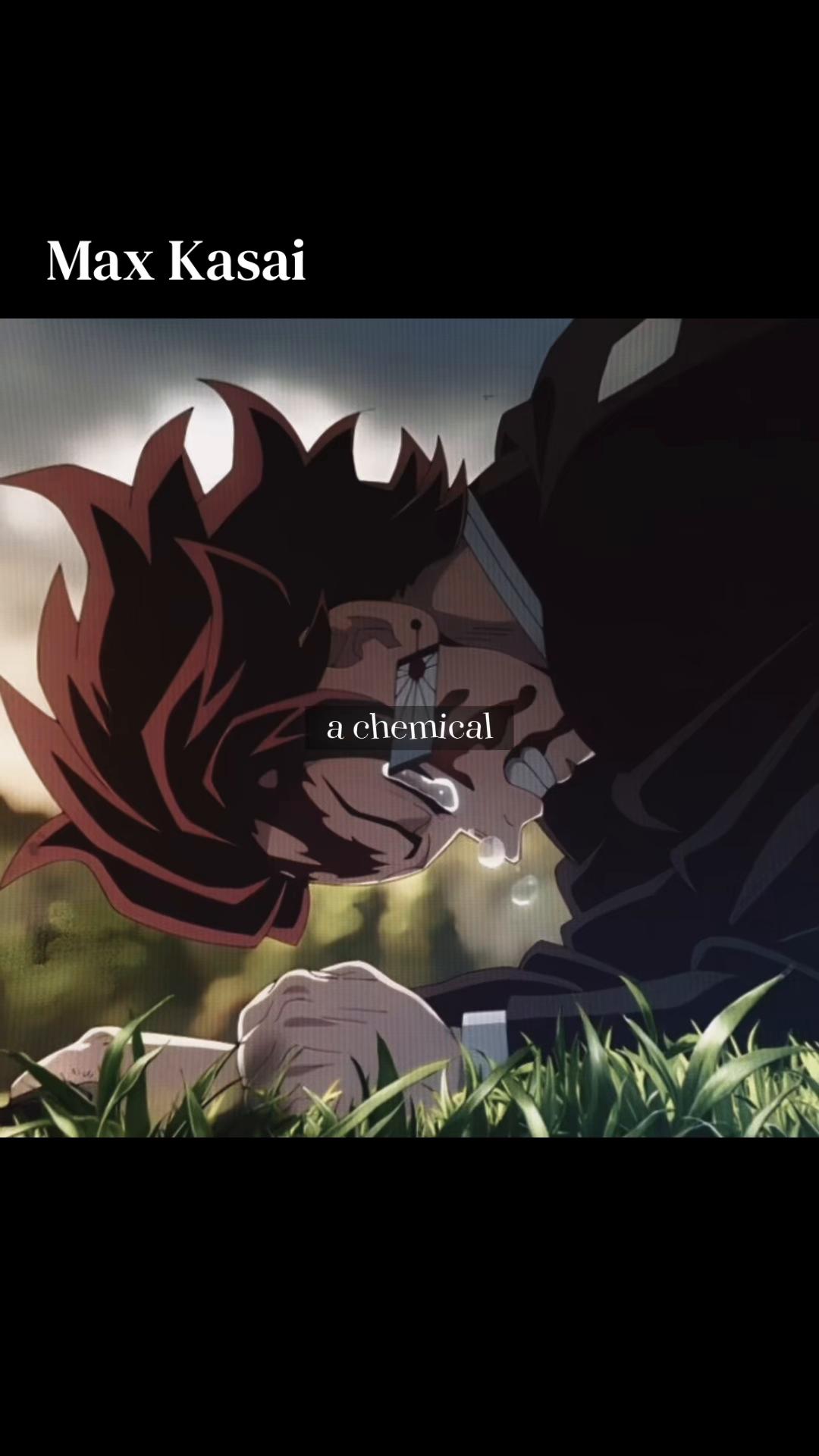 @Max Kasai