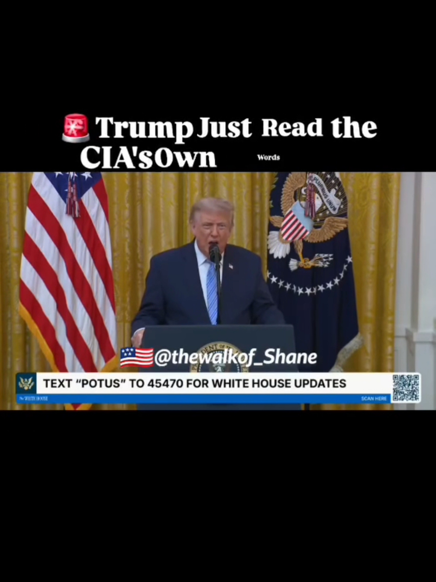 @thewalkof_Shane