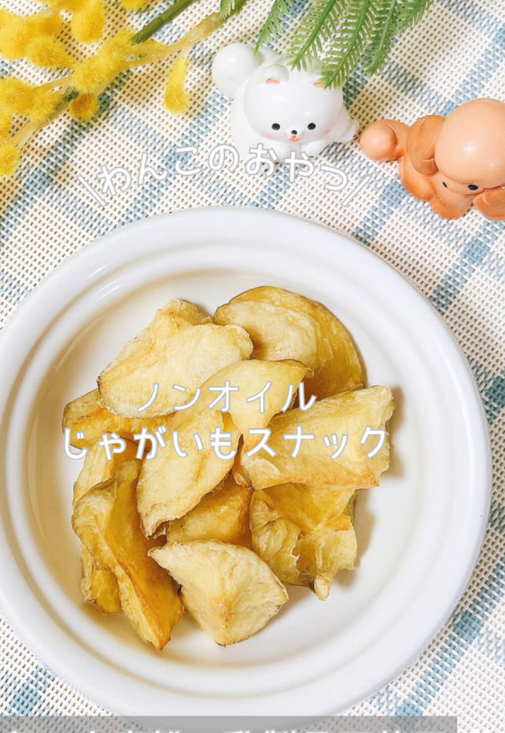 @ゆきえもん｜手作り愛犬おやつ