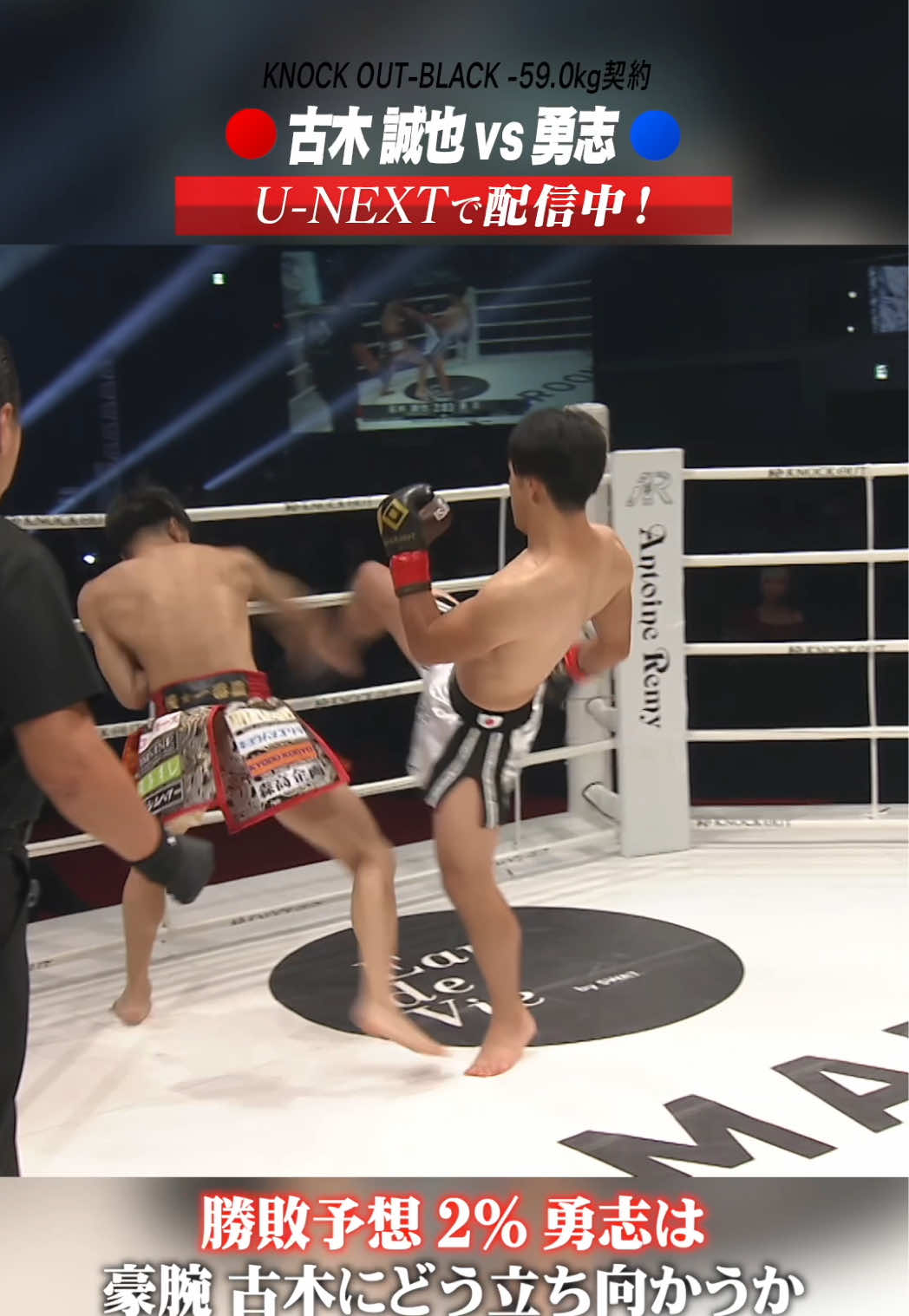 @KNOCK OUT(ノックアウト)公式