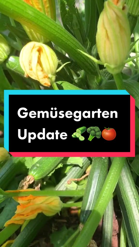 @Let’s grow 🪴🥝🍓🍑🍋🍌