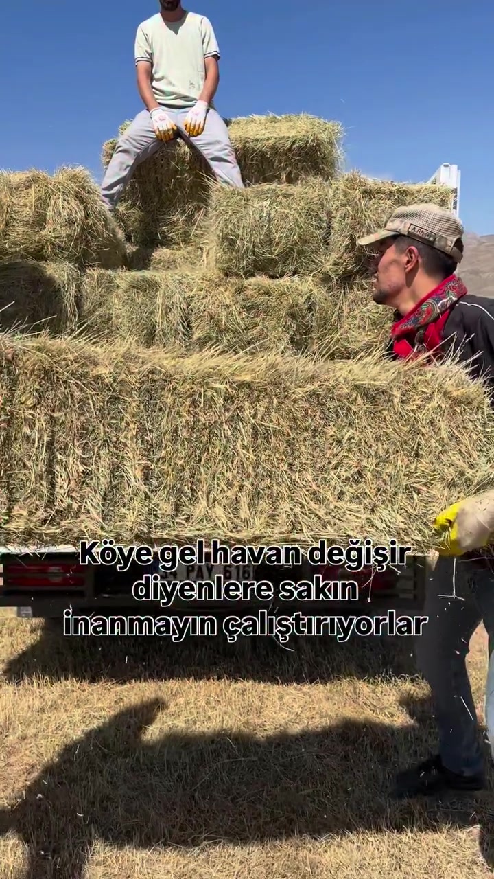 @Luxlifemuş49