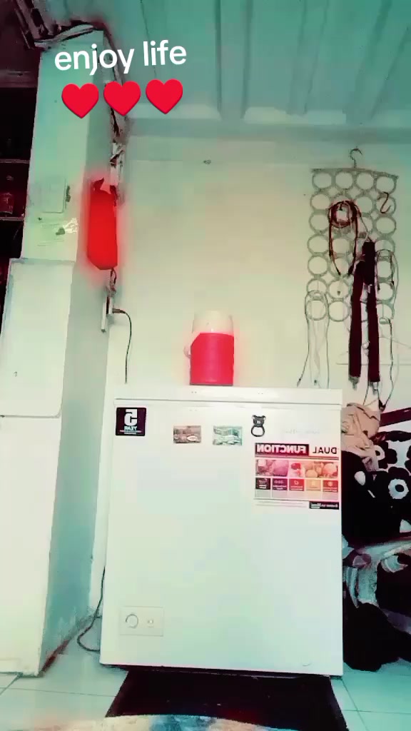 @irenegamboa715