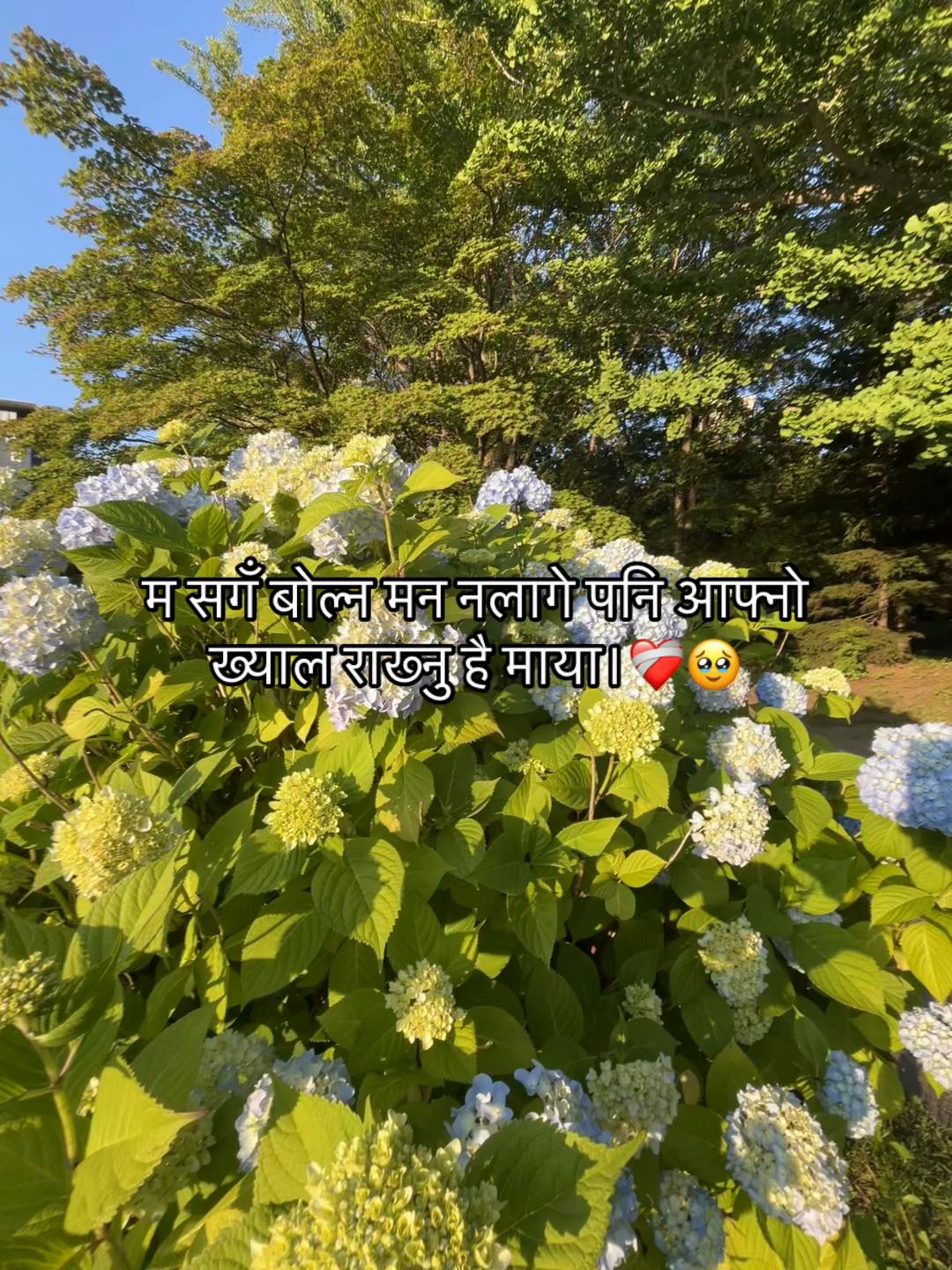 @Mr.Chhetri !!