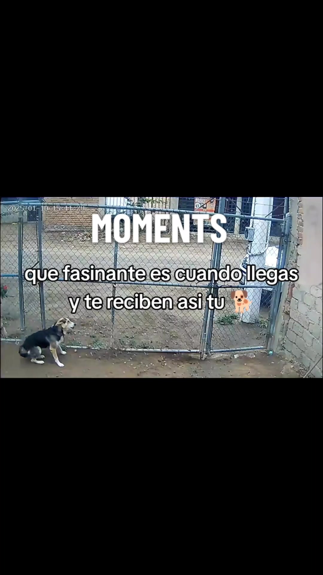 @💮👌🪹Liam,