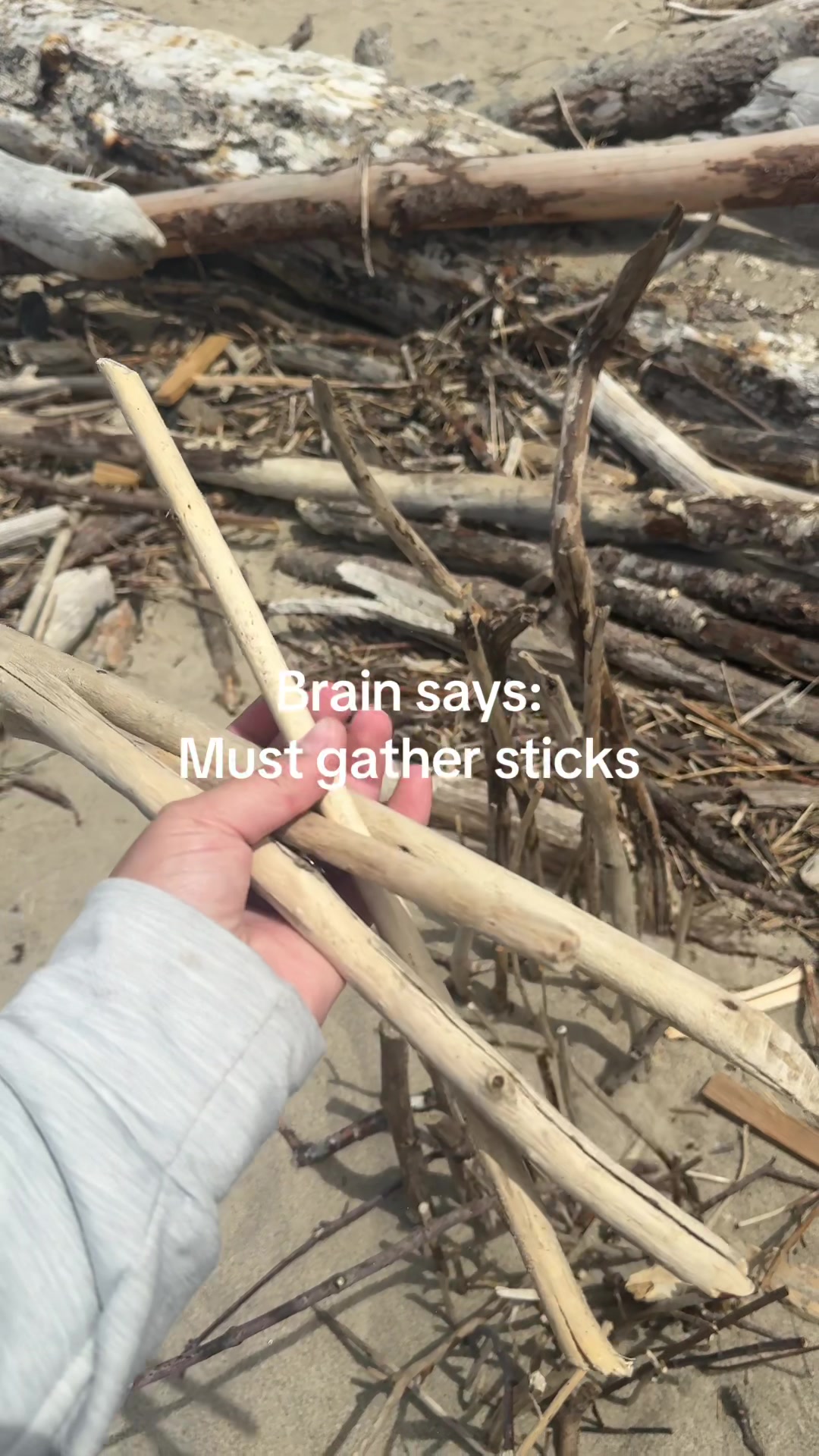 @✨lyndsay✨