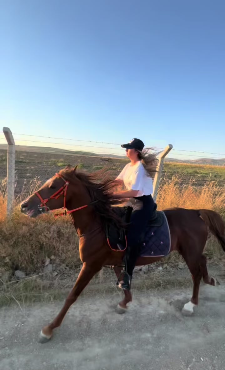 @esra.guzelark