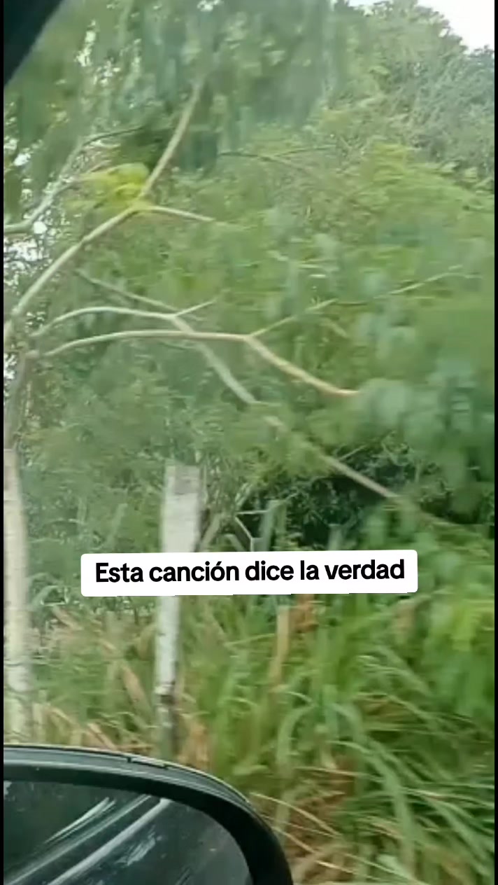 @Güerita Tabasqueñita 🌹🫶
