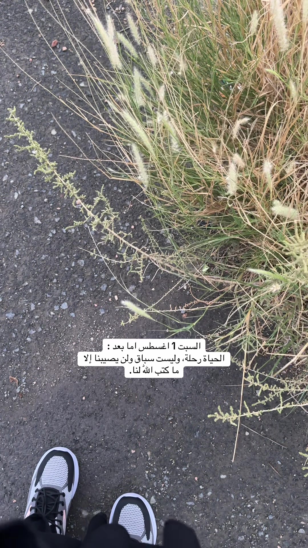 @مريم العتيبي | الطايف