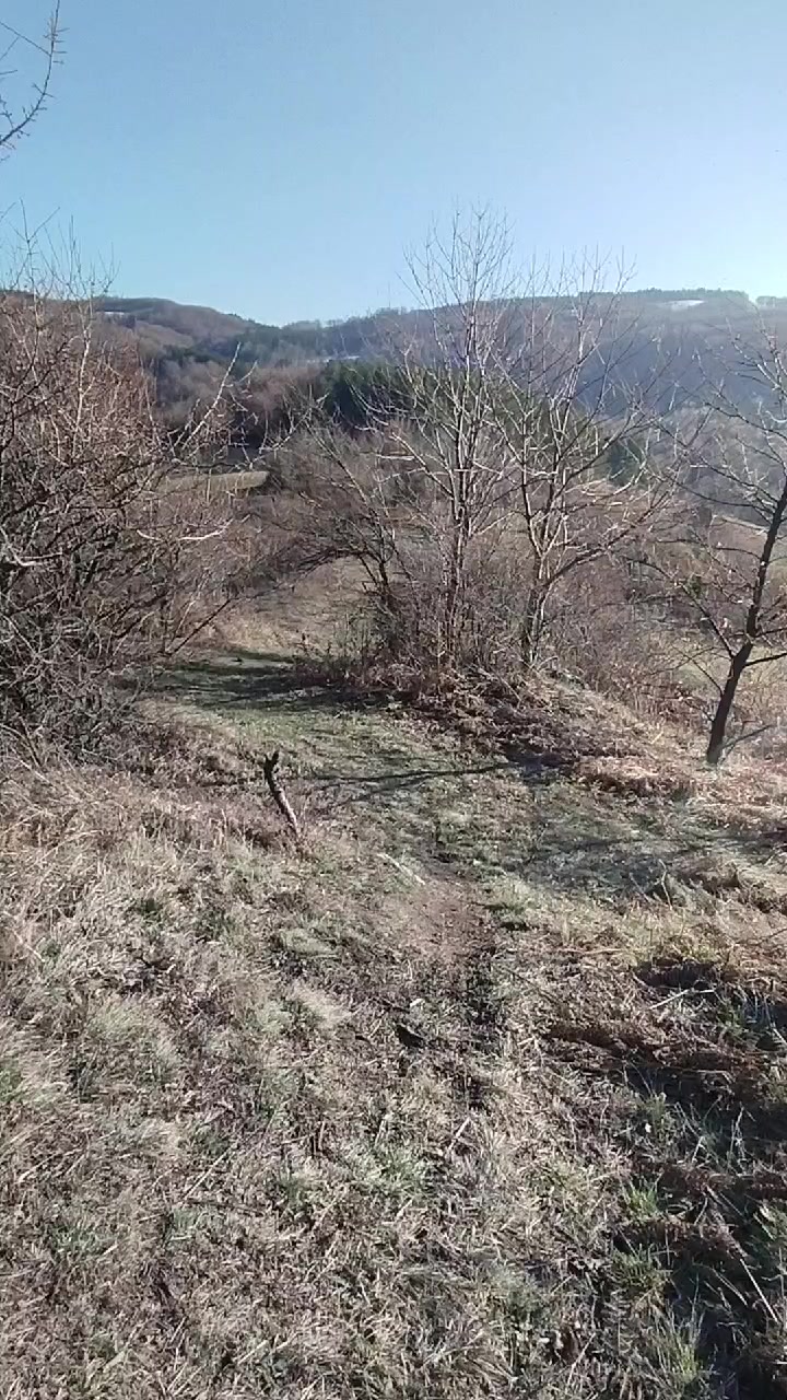 @Acimovic1235