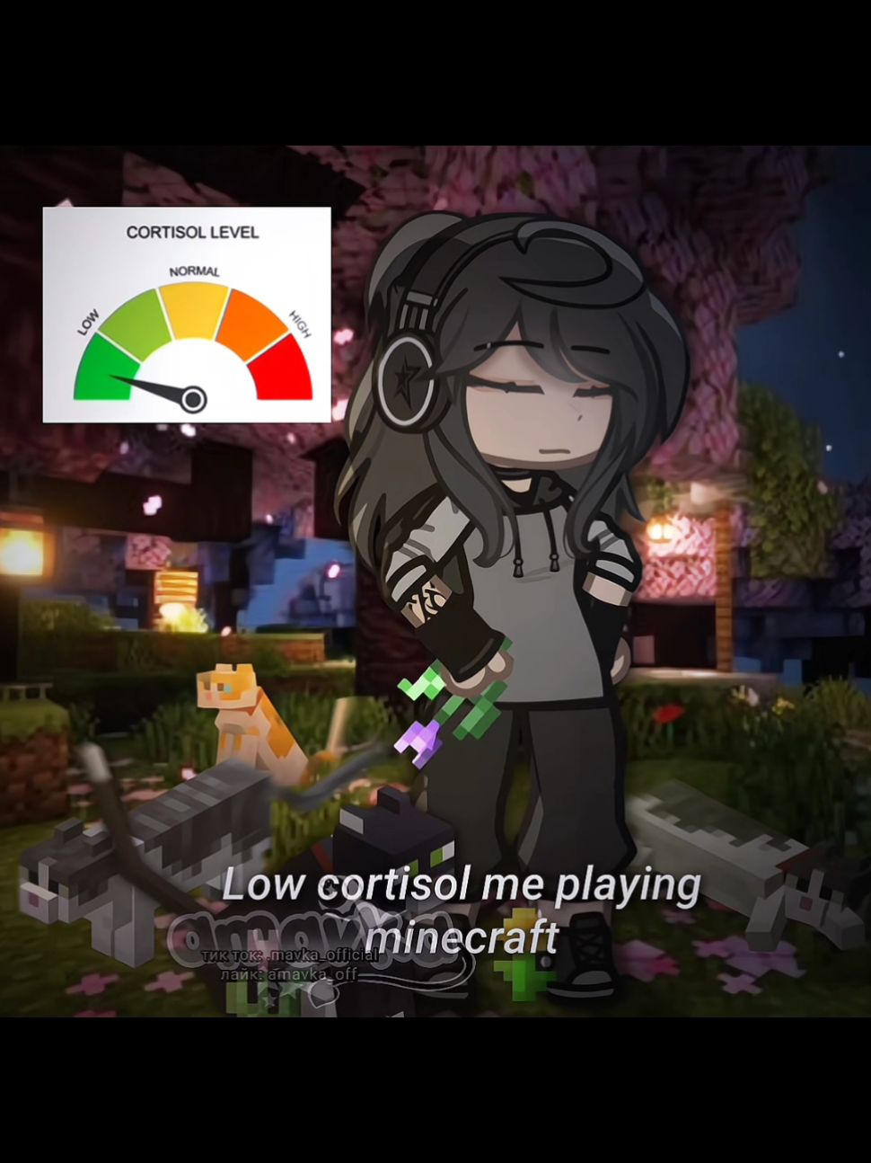 @⋆𝙖𝙢𝙖𝙫𝙠𝙖{𝟏𝟐𝗸+}⋆˙