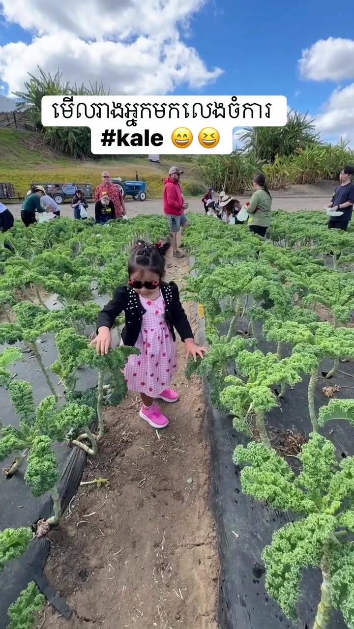 @Ellen Ellie 🇺🇸🇰🇭