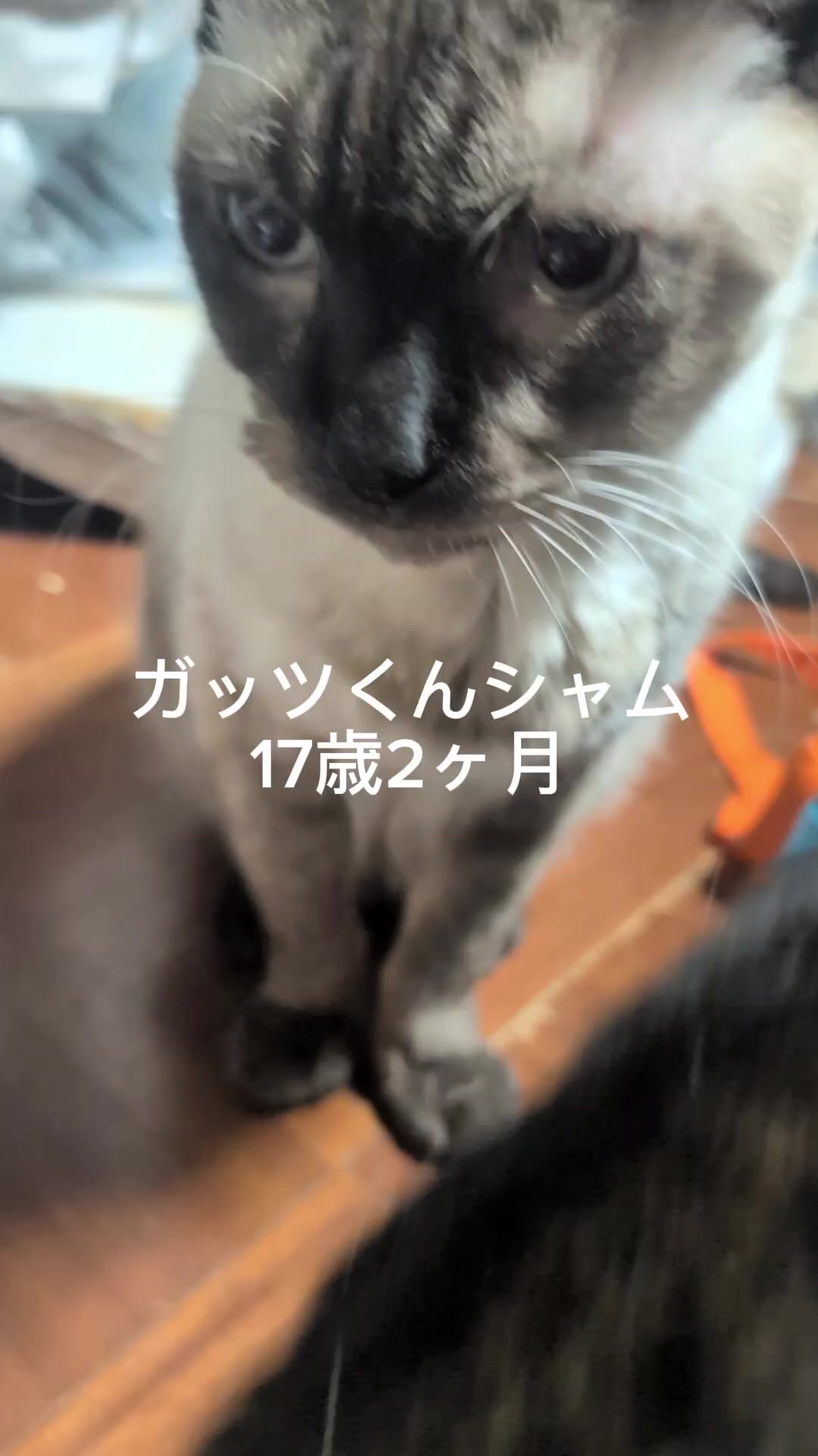 @睡眠プロデュース