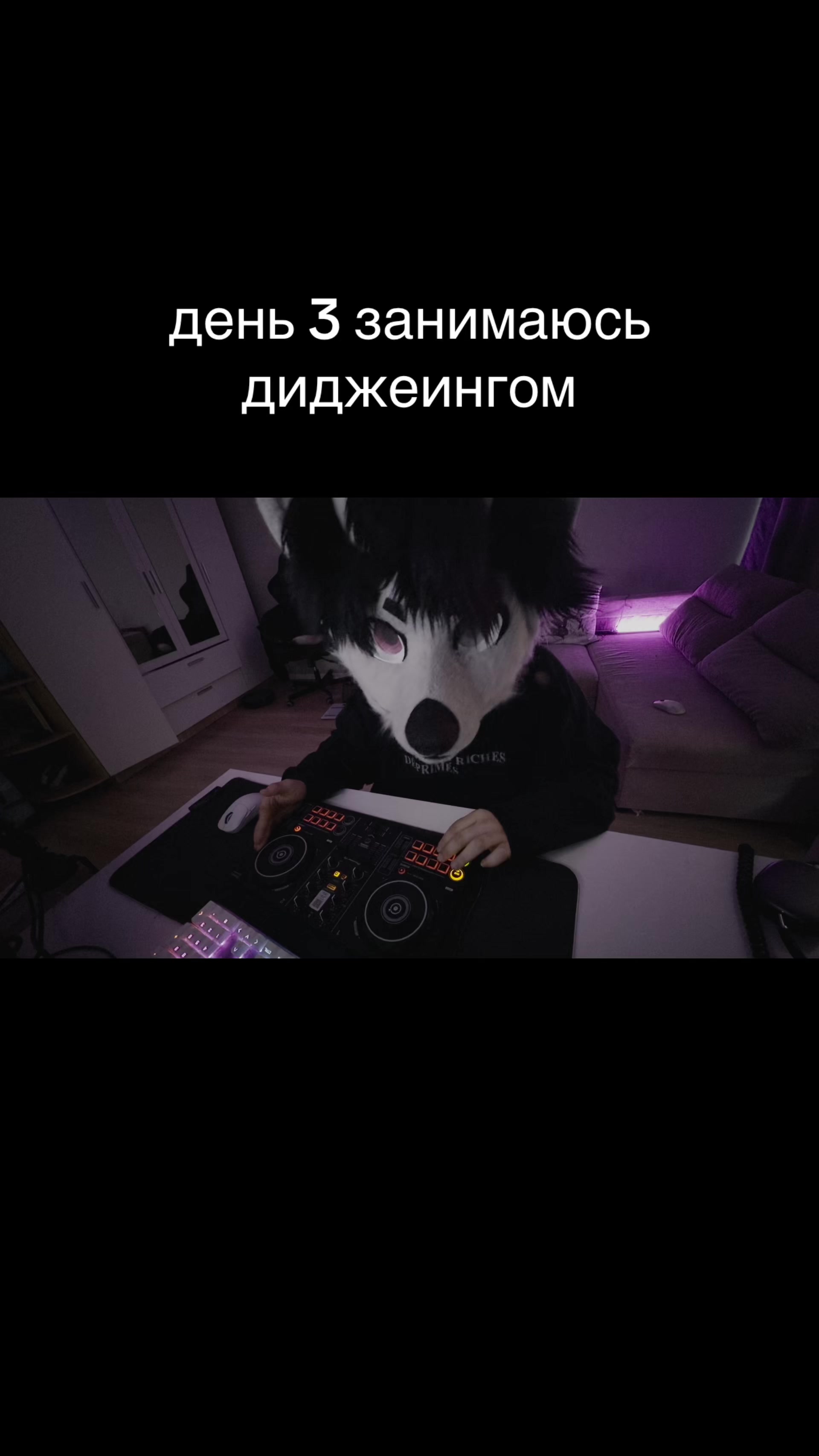 @фыркалко 🐾
