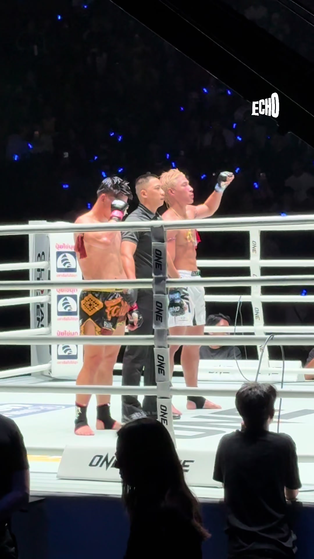 @Muay thai echo