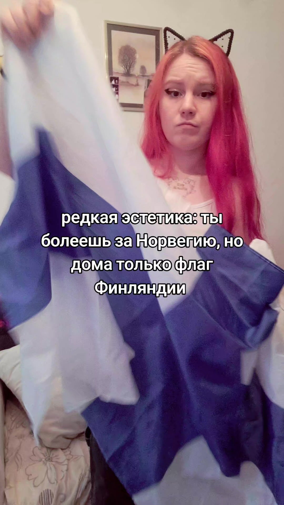 @Котяра в стране Евро-чудес