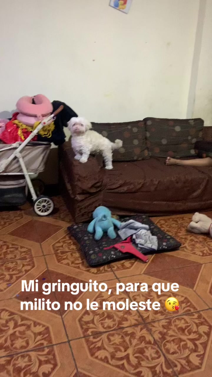 @🐶HILDA Y BERRY EL ALBINITO🐶