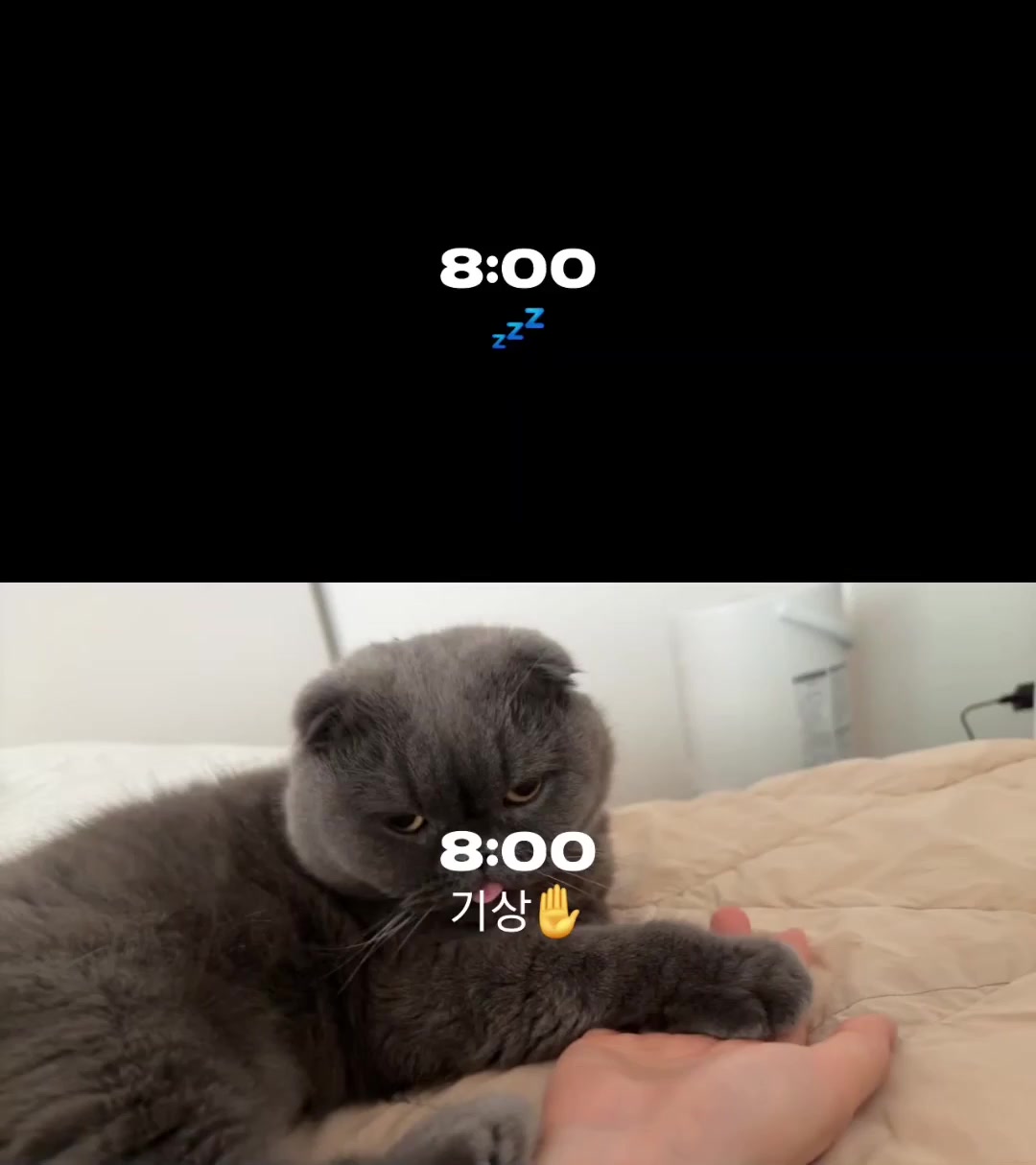 @JEONGHYO