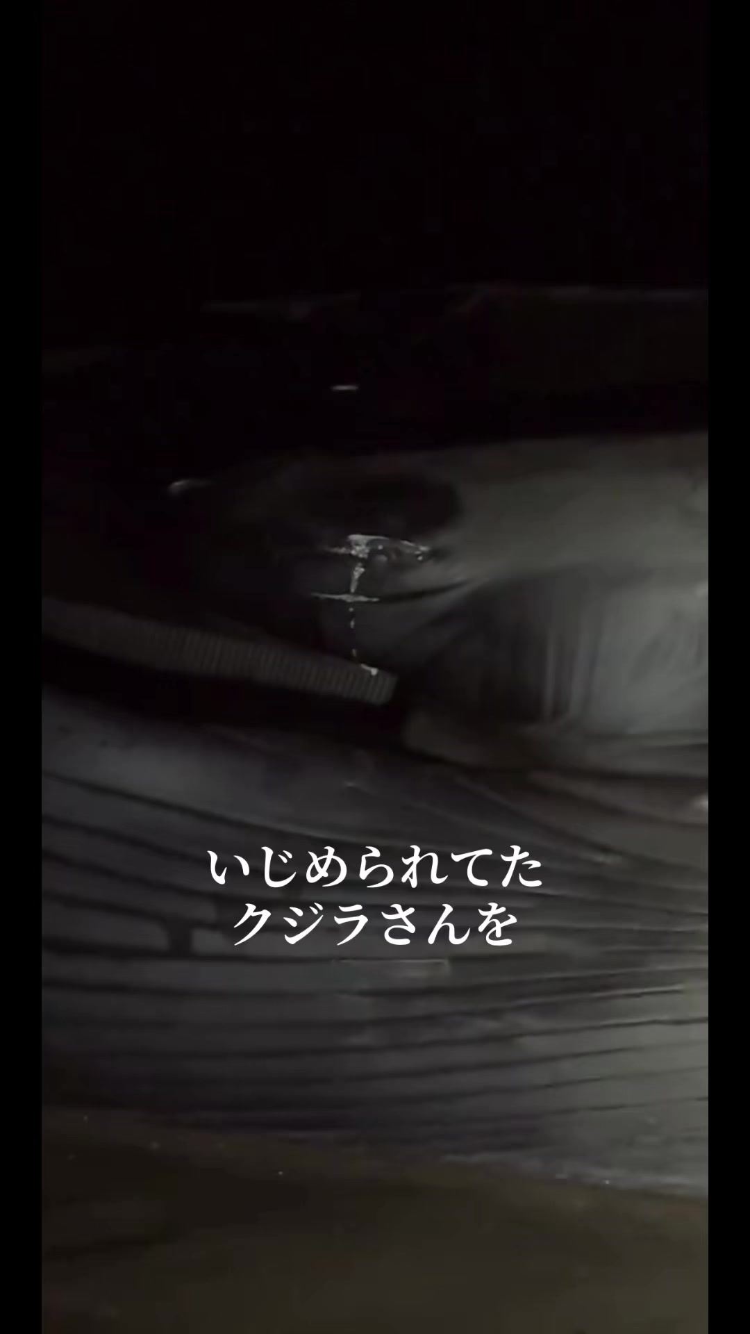 @こうぞう(kouzou)