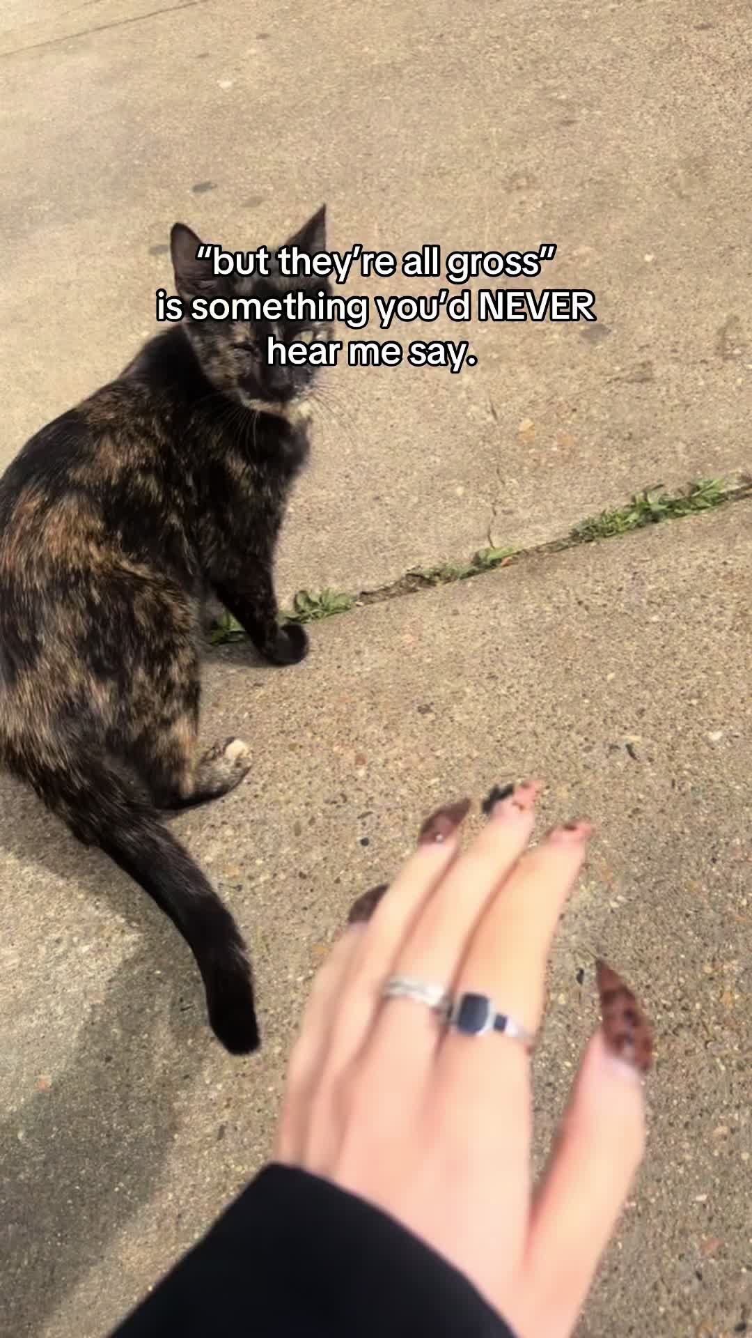 @veda🐈⬛🖤