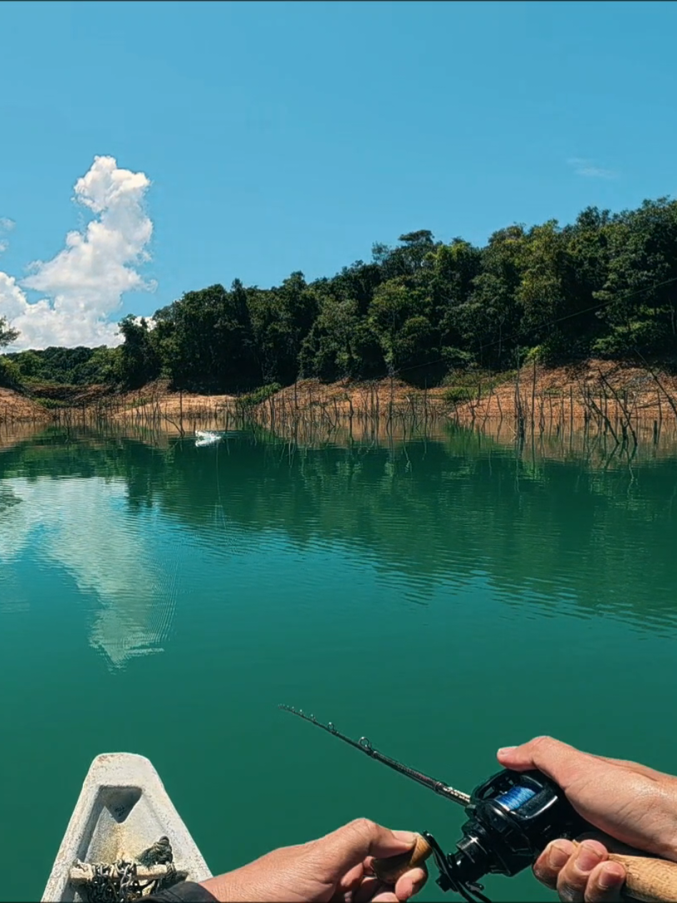@Damz Strike Fishing