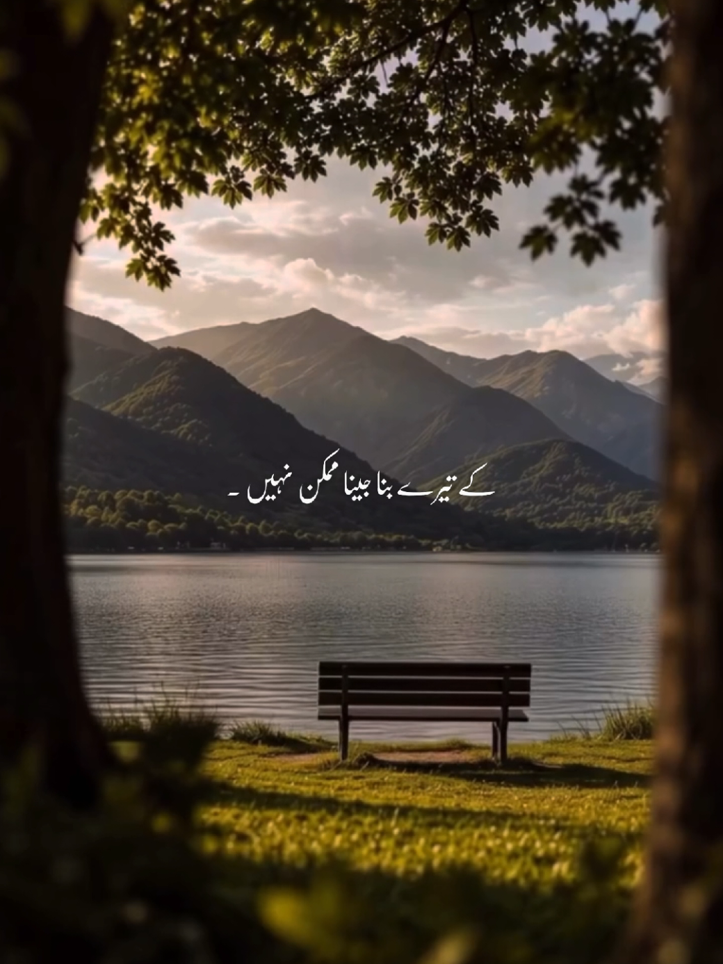 @𝙉𝘼𝘿𝙀𝙀𝙈 ❤️🌙